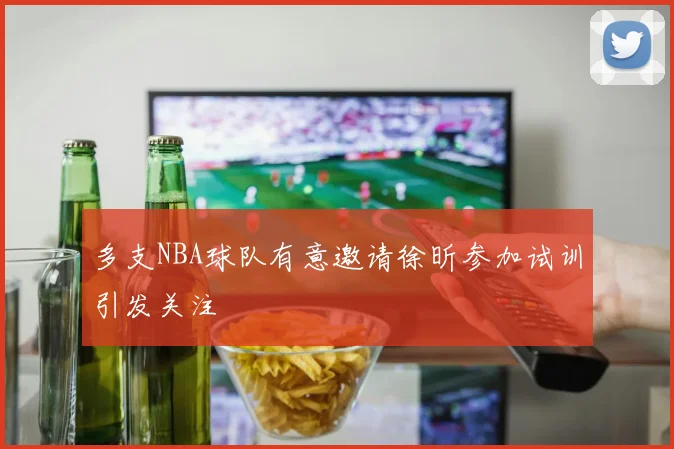 多支NBA球队有意邀请徐昕参加试训引发关注